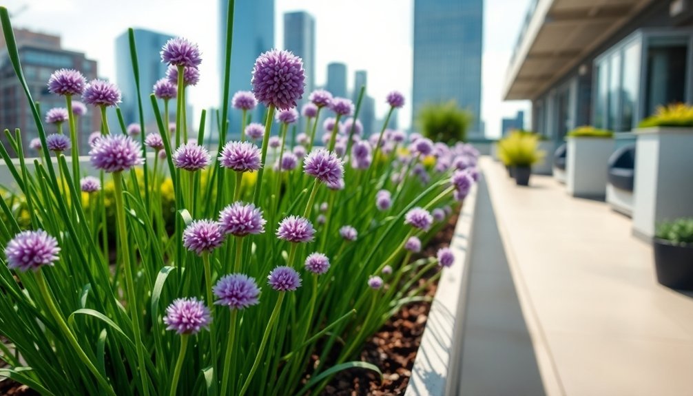 versatile herbs for small gardens